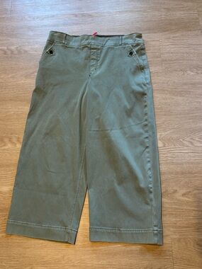 Spanx Women’s Stretch Twill Cropped Wide Leg Pant Green Size 2X T